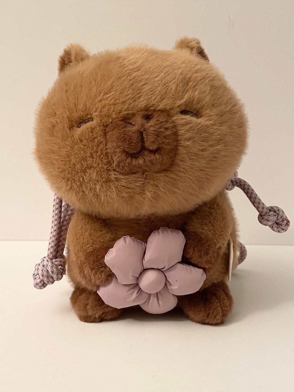 ZARA Capyfun Plush Capybara Crossbody Bag Pouch Brown Flower
